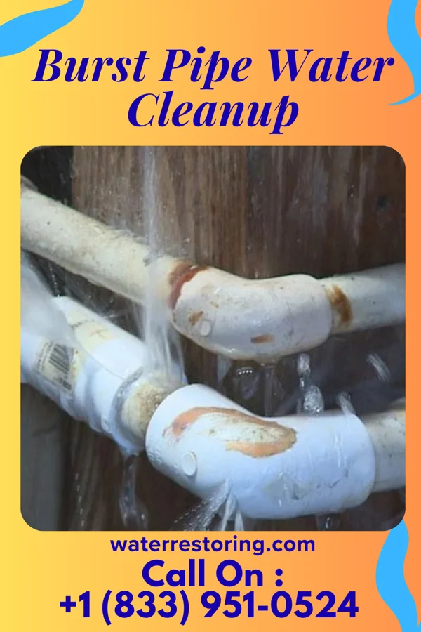 Burst Pipe Water Cleanup in Siesta Acres, TX