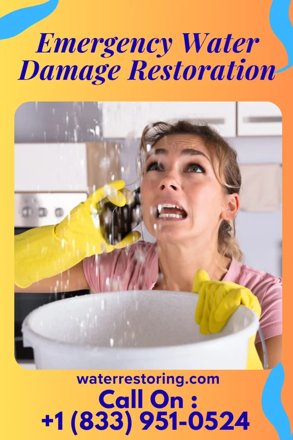Emergency Water Damage Restoration in Siesta Acres, TX