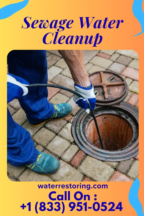 Sewage Water Cleanup in Siesta Acres, TX